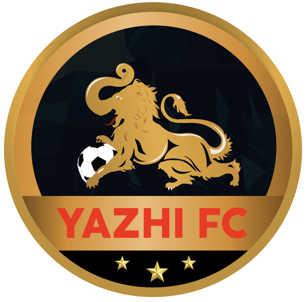 yazhifc.com